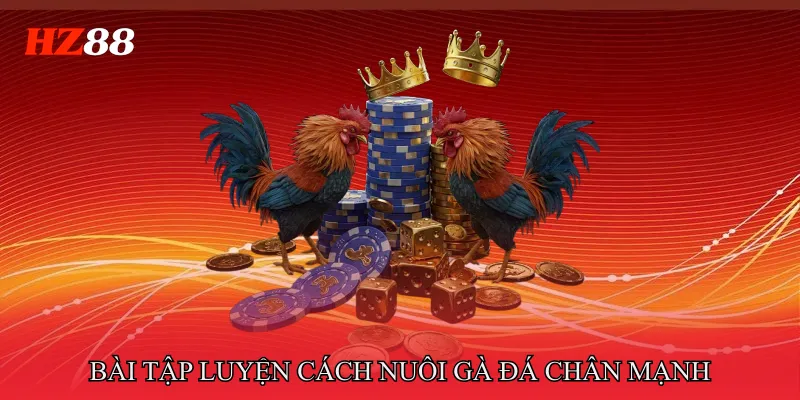 Cách Nuôi Gà Đá Chân Mạnh Tăng Sức Bật Cho Mỗi Trận 4 Các Bài Tập Luyện Trong Cách Nuôi Gà Đá Chân Mạnh