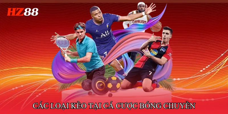 Các loại kèo tại Cá cược bóng chuyền