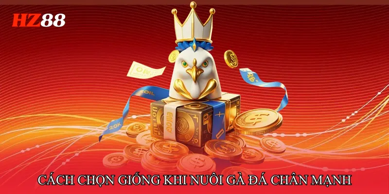 Cách Nuôi Gà Đá Chân Mạnh Tăng Sức Bật Cho Mỗi Trận 2 Cách Chọn Giống Khi Nuôi Gà Đá Chân Mạnh