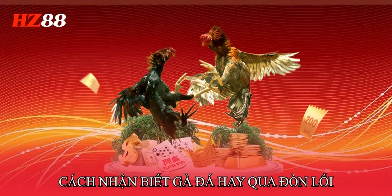 Cách nhận biết gà đá hay qua đòn lối và phong cách đá